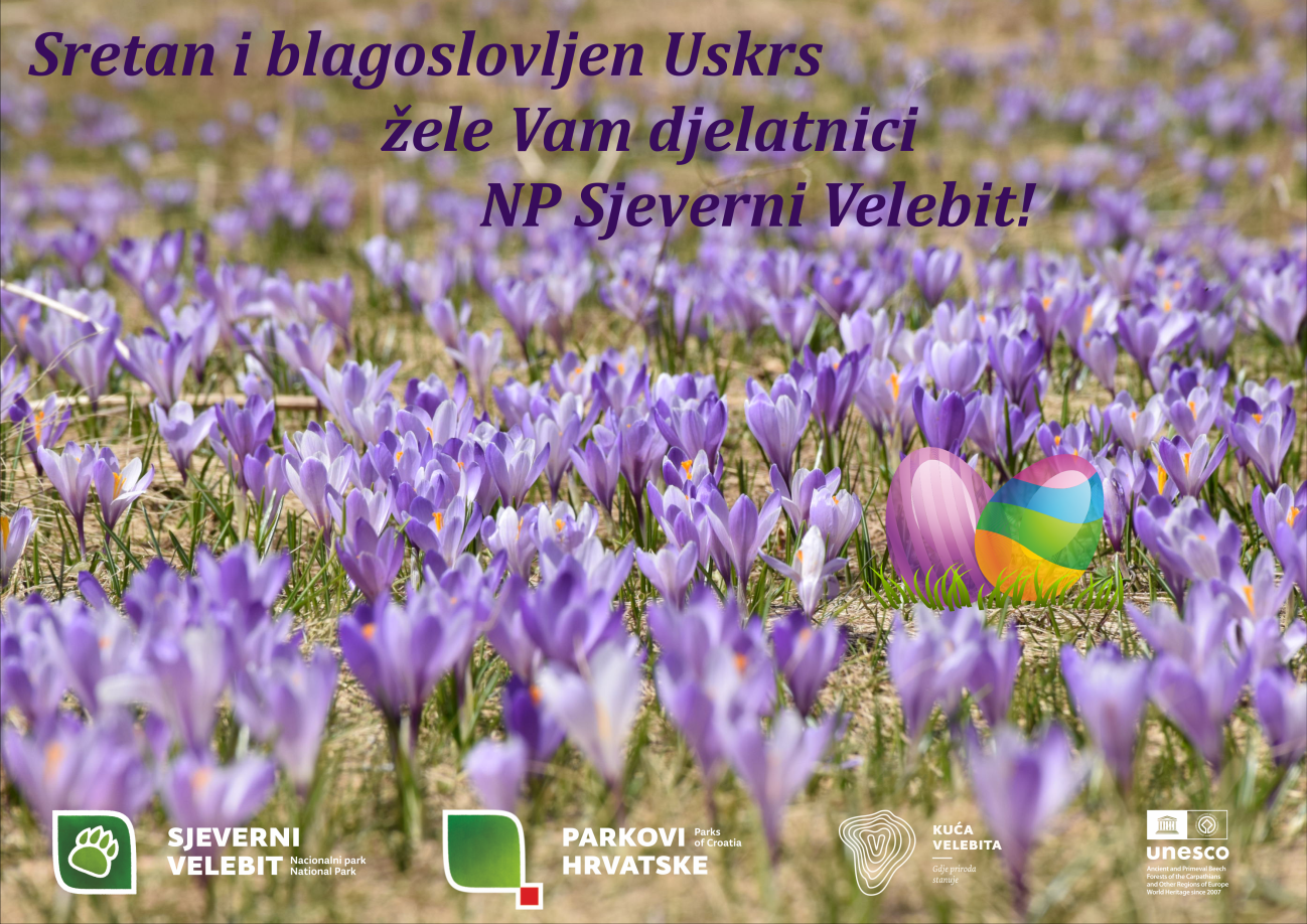 Cestitka Uskrs 2023 mail