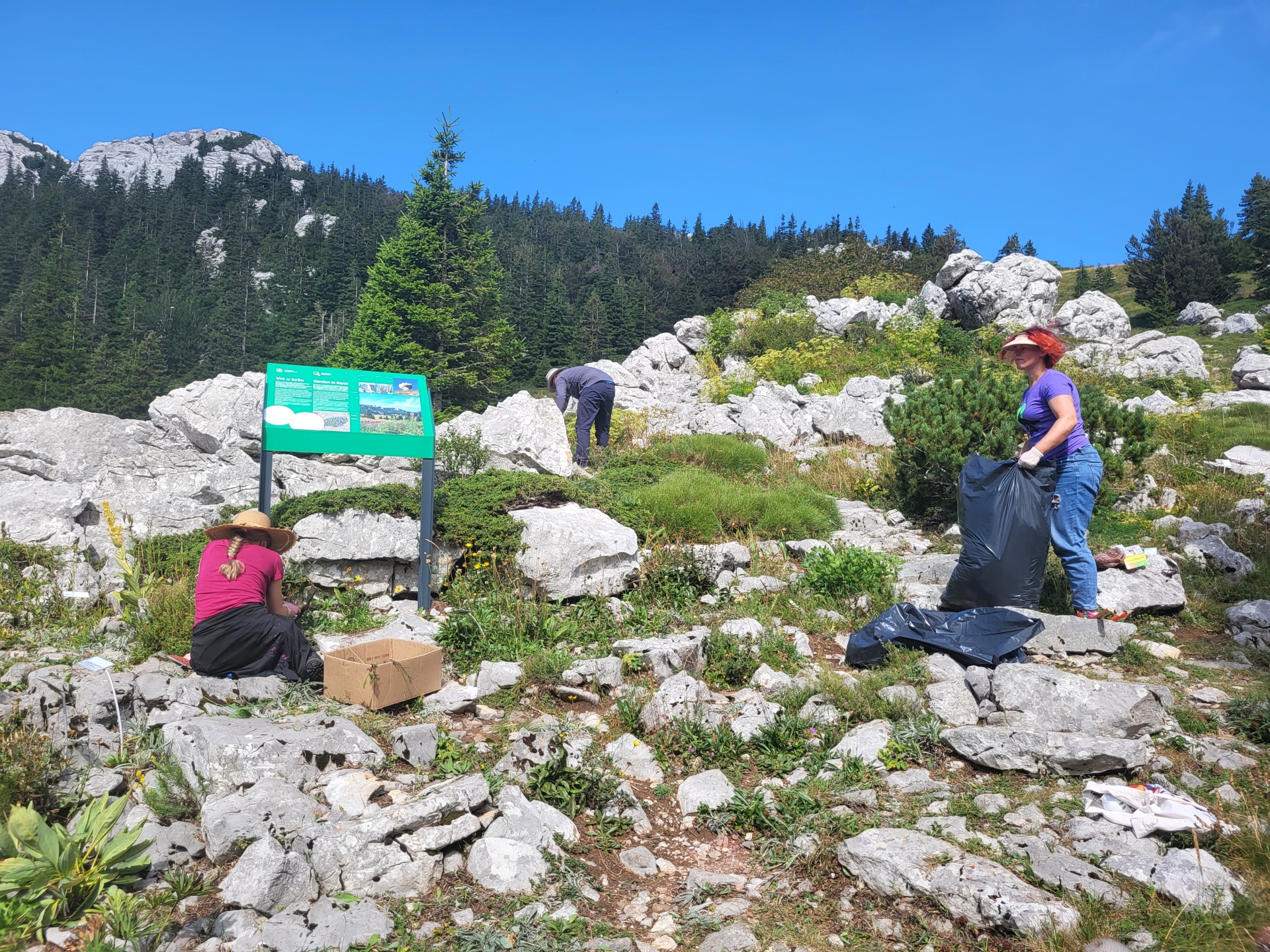 Njegovatelj planinskih biljaka - otvorene prijave za volonterski program